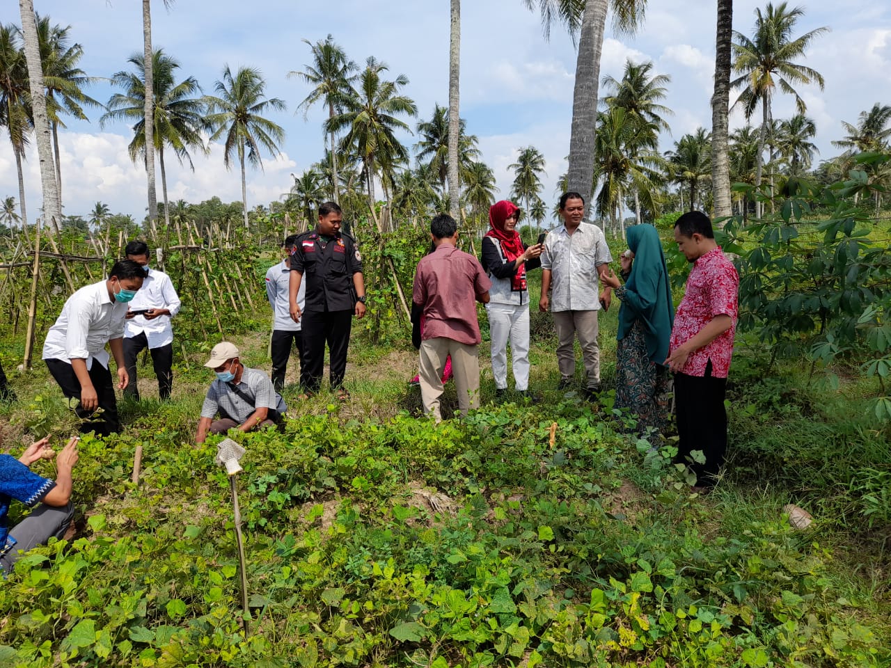 Wujudkan Smart Farming di Desa Cintamulya, Dosen IIB Darmajaya akan Terapkan IoT